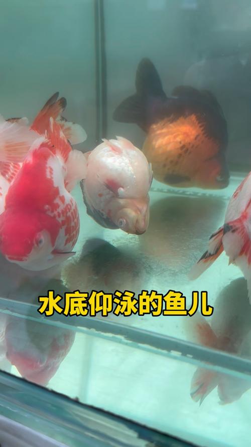 客户服务 第6页